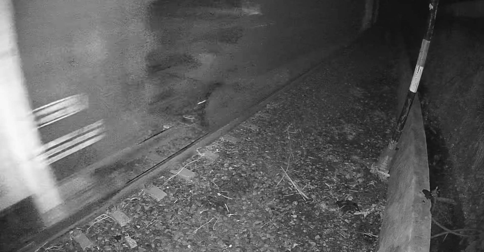 2026-07-05 23:34:44.jpg